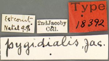 Media type: image; Entomology 18392   Aspect: labels